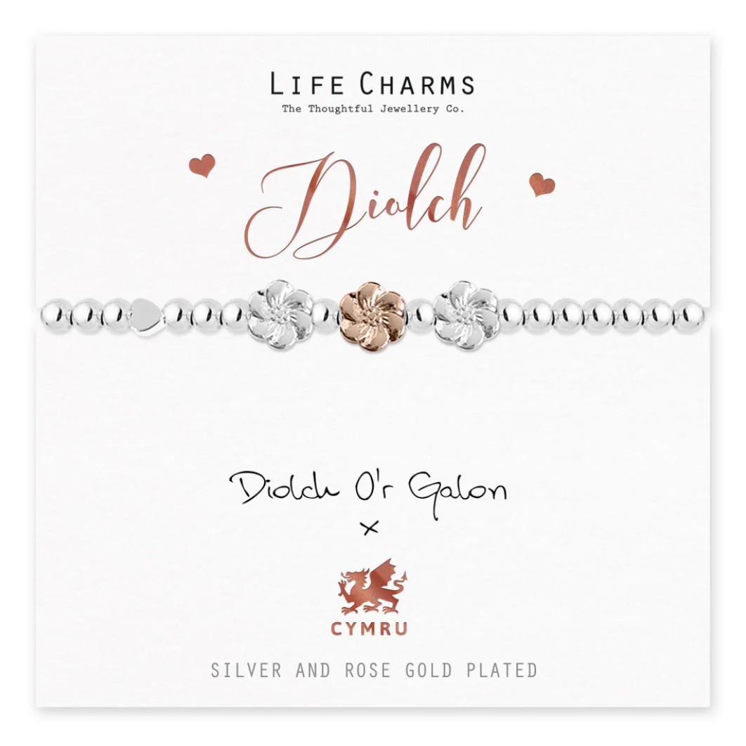 Life Charms Bracelet Welsh - Diolch - Thank You