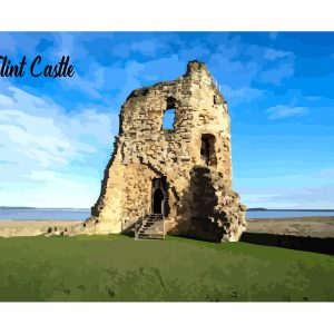 Flint Castle A4 Print