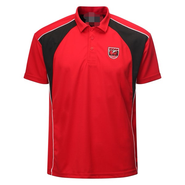 Mold Alun Boys PE Polo Shirt
