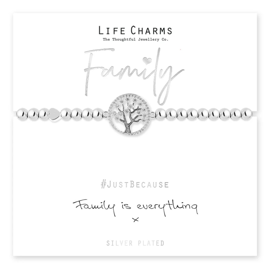 Life Charms Bracelet Family